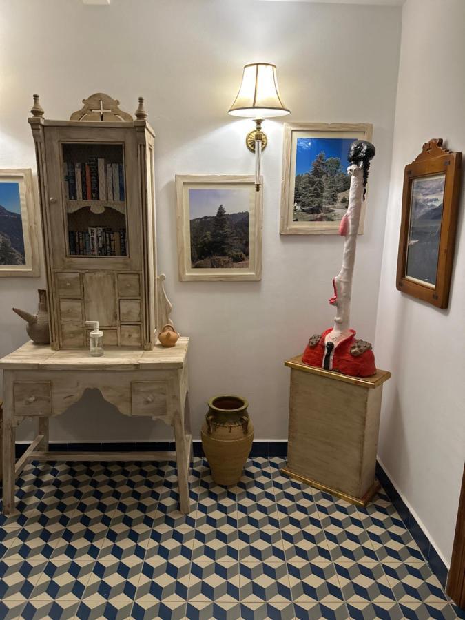 تولوكس Hostal Moon المظهر الخارجي الصورة